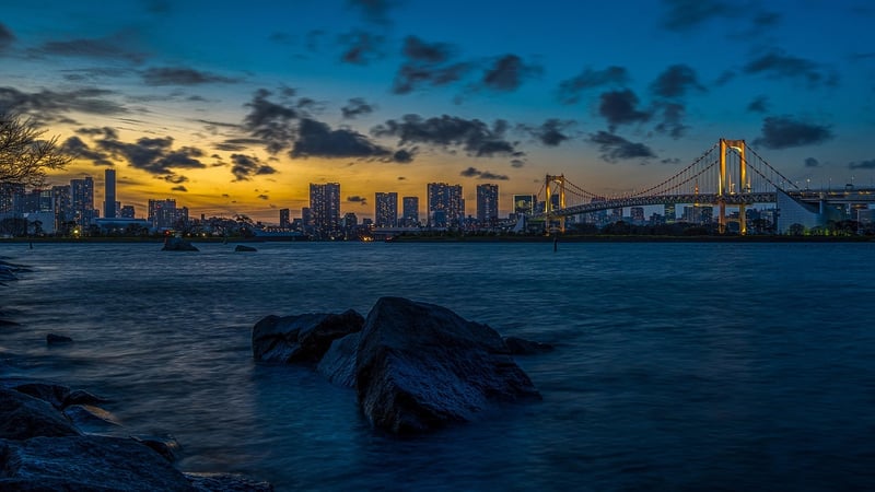Tokyo skyline at night